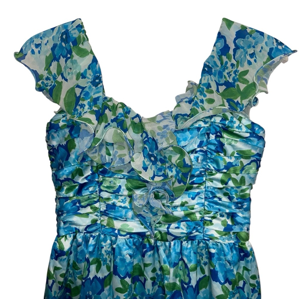 Amur Dress Womens Size 6 Pia Garden Blues Floral Pleated Tiered Midi Cottage - Picture 7 of 16